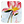  ﱨĿ50 